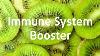Immune System Booster Health And Healing Meditation Music 1014