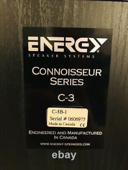 C3 Energy Speaker Systems Connoisseur Series C-3 En Très Bon État Testé