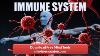 Système Immunitaire Puissant élimine Maladies Et Affections Pour Une Santé Parfaite